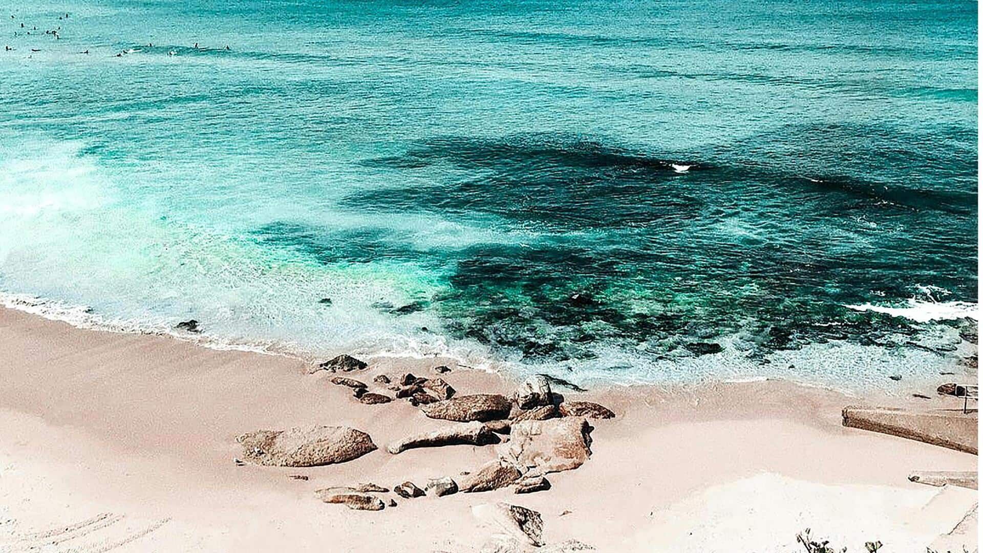 シドニーの海岸沿いを歩いて文化的ランドマークを巡る