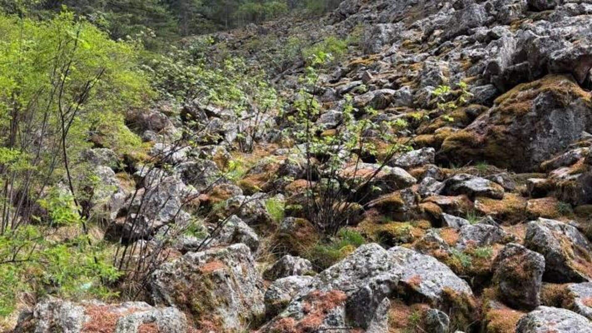 ウランバートルの山岳逃避行: 忘れられない自然の旅