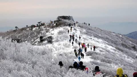 韓国の太白山脈の魅力的な道を発見する