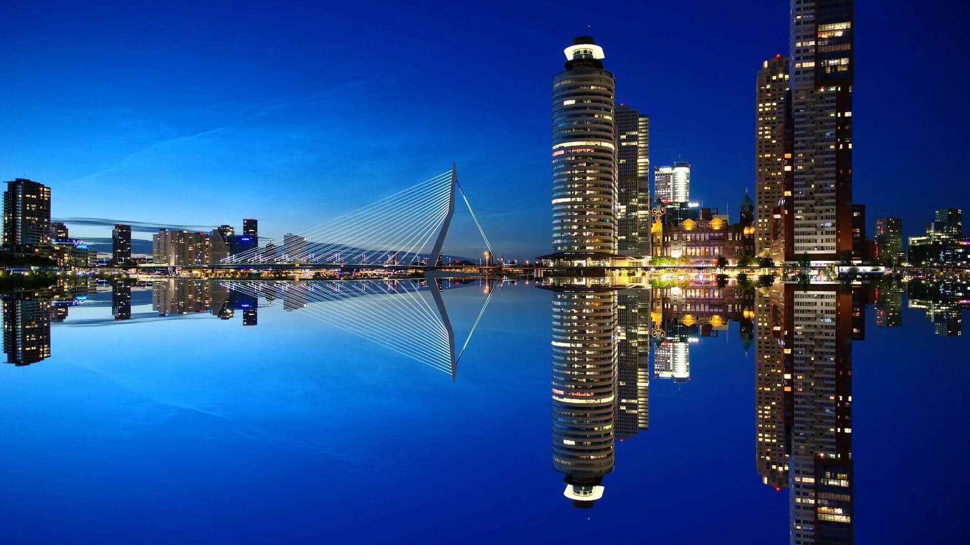 ロッテルダムのユニークなデザインスタジオ5選