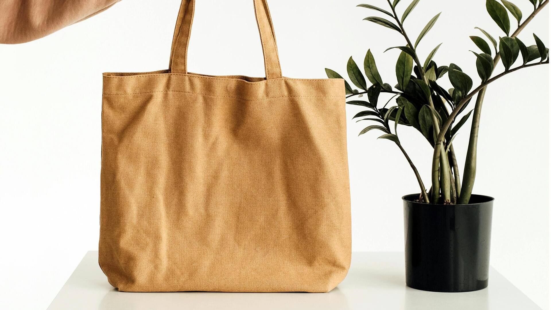 秋のファッションに欠かせないエコバッグ5選