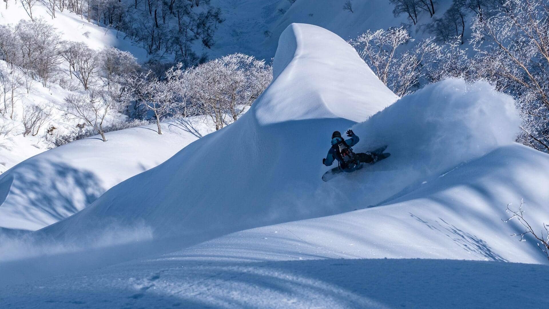 日本の山岳リゾート: ユニークなアウトドア冒険