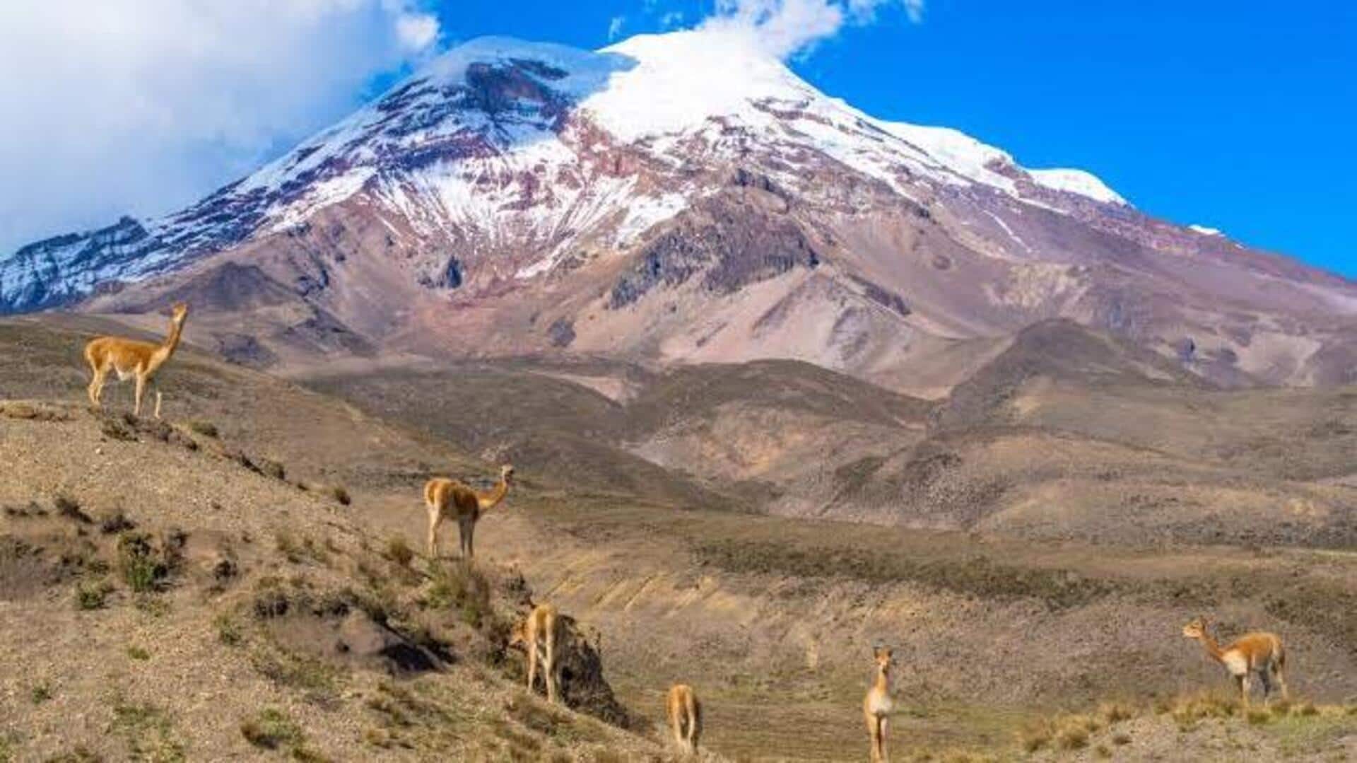 エクアドルのチンボラソ登山: 高地のユニークな体験