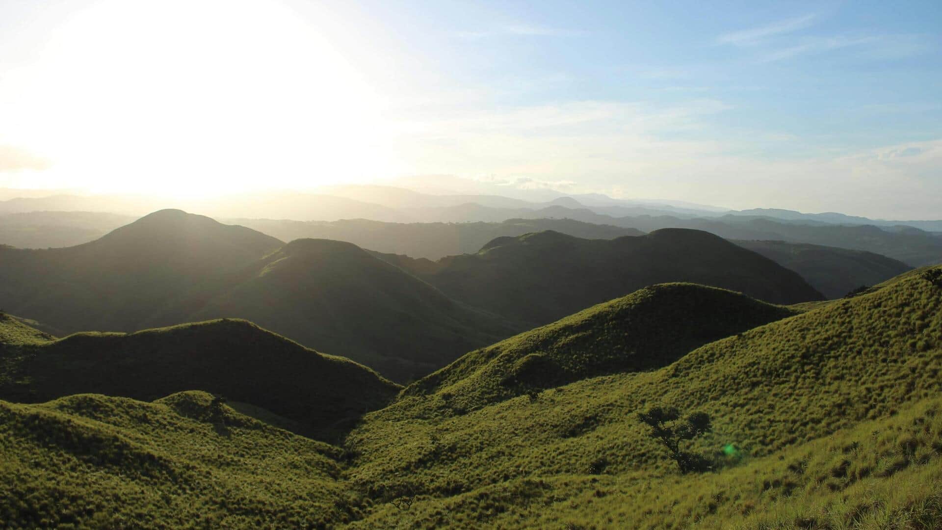 コスタリカのタラマンカ山脈で雲霧林を探検