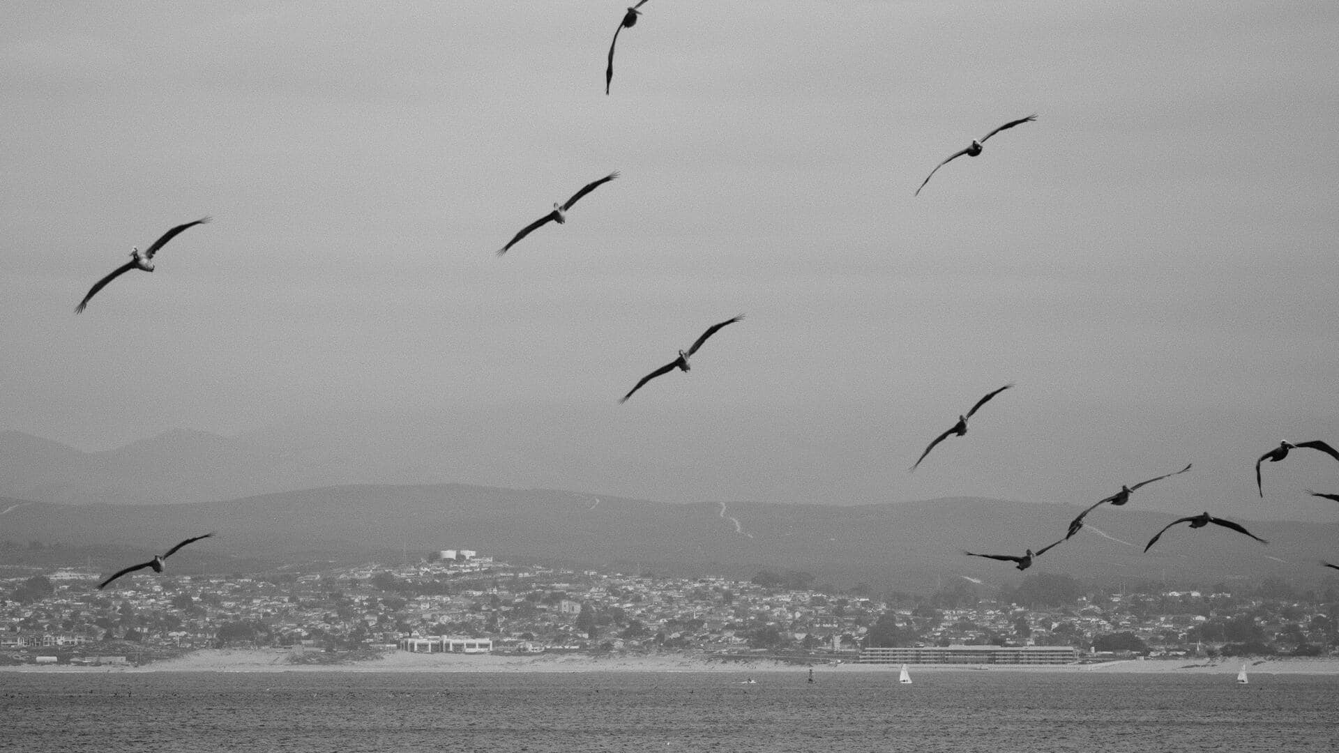 カリフォルニアのディアブロ山脈で魅力的な五つの逃避地