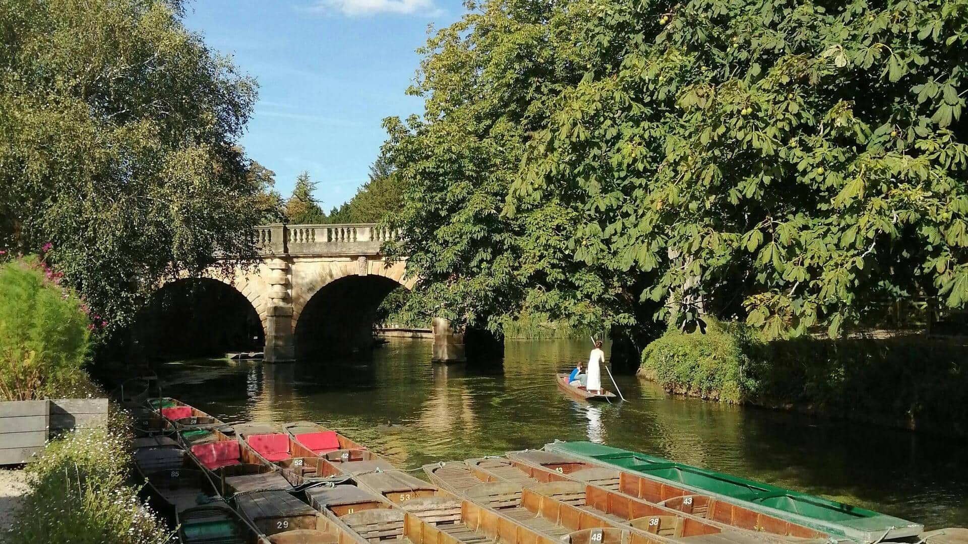 クライストチャーチで楽しむ静かな川沿いピクニック五選