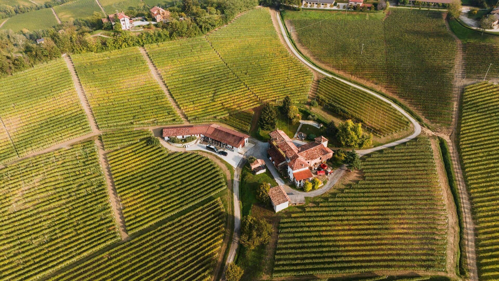 イタリアのランゲを歩き、ワイナリーと風景を発見する イタリアのランゲを歩き、ワイナリーと風景を発見する
