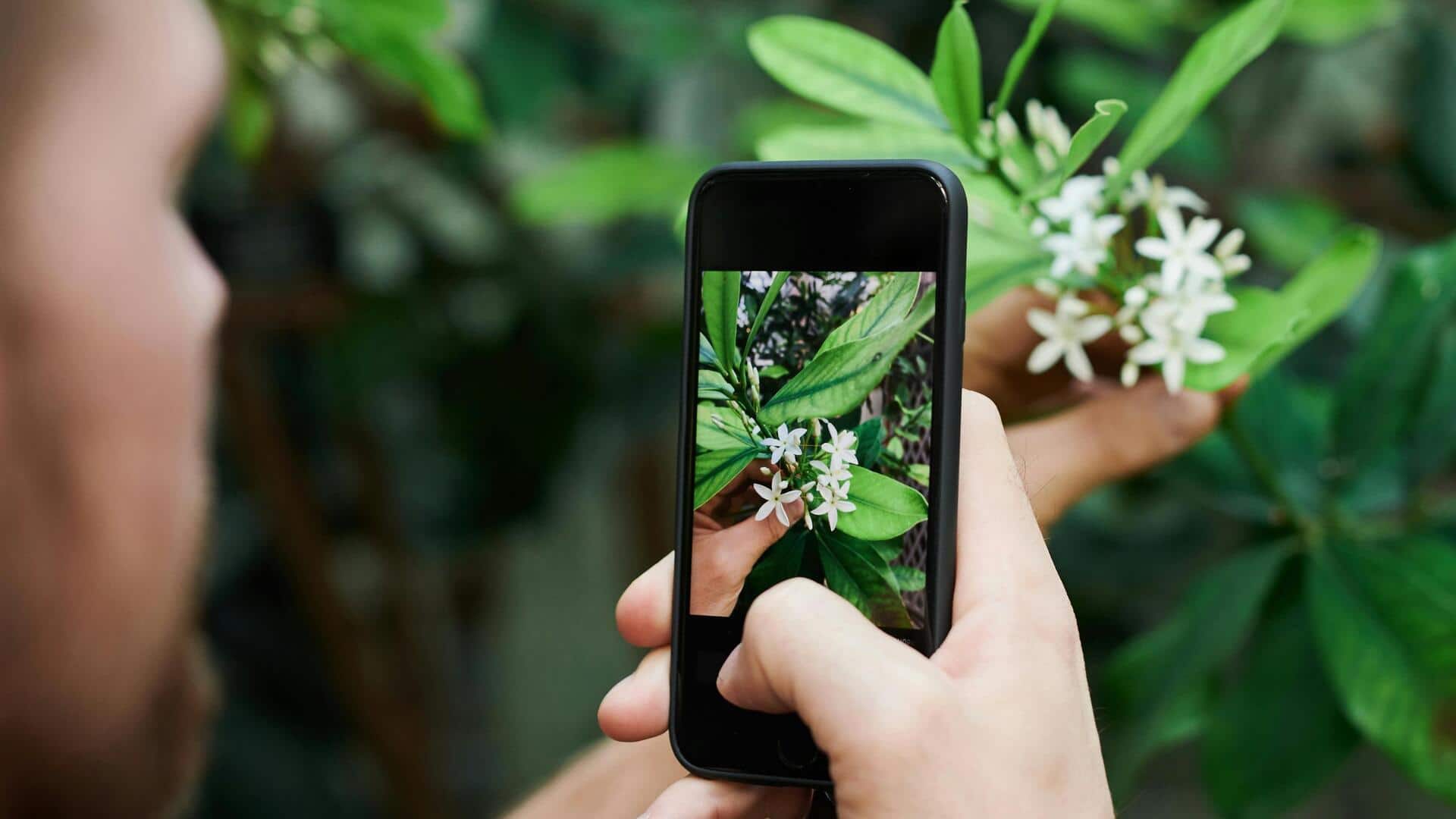 デジタル写真を整理する方法