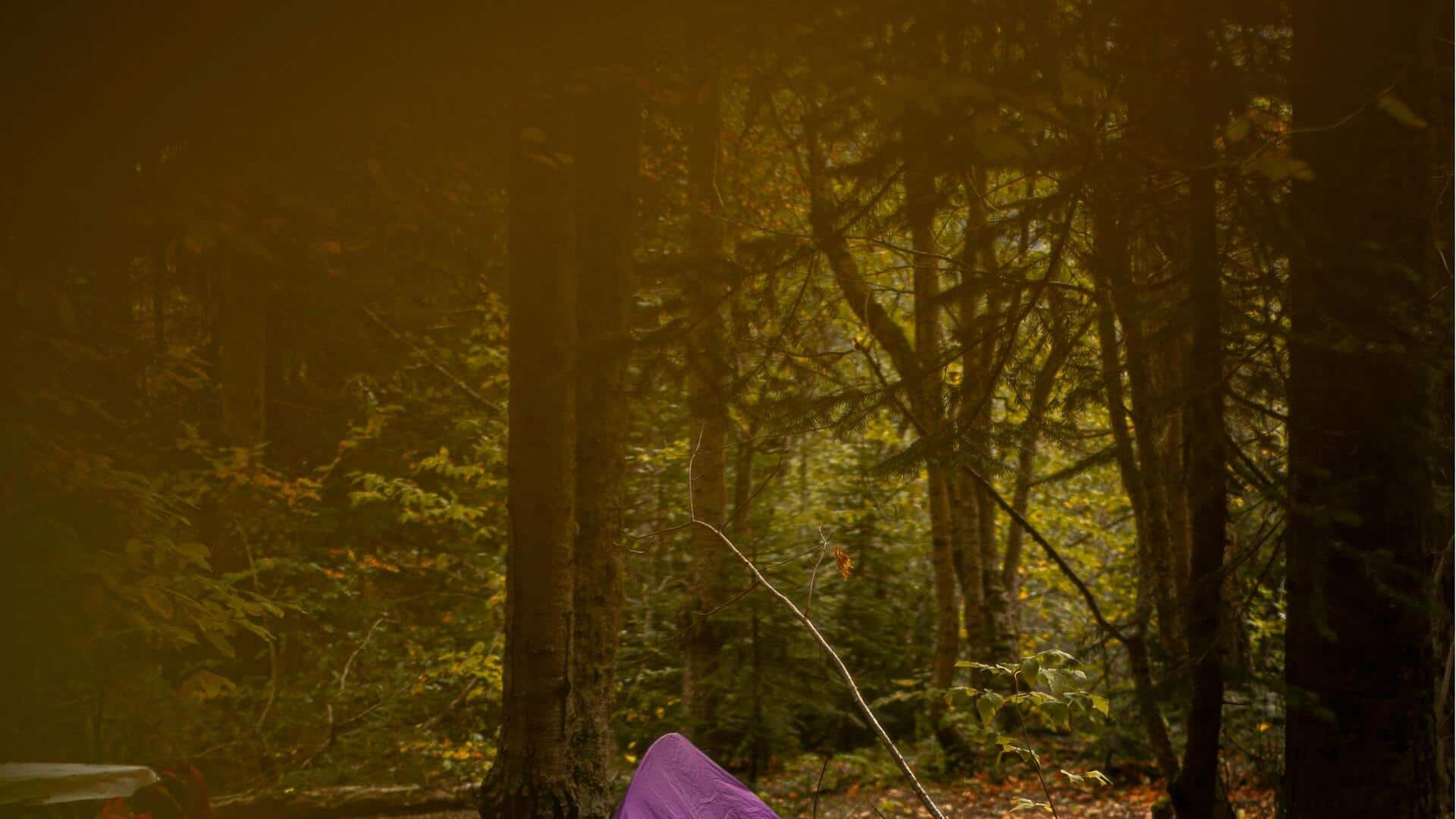 オリンピック山脈の静かなリトリート地