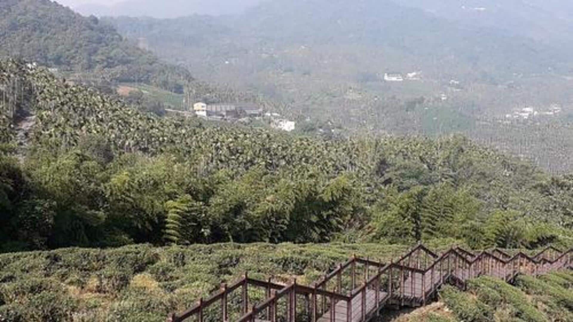 台湾の梅山トレイルで心の平和を見つける