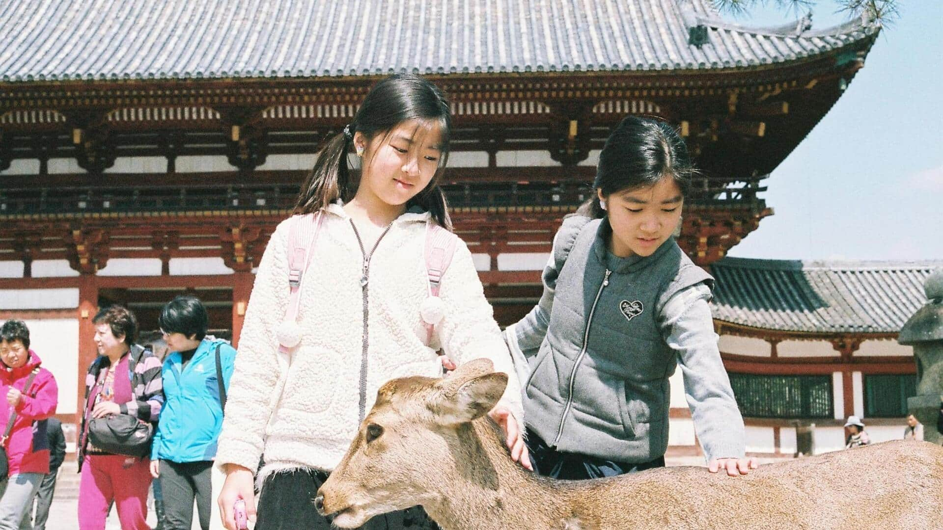 奈良で発見するべき五つの隠れた神社