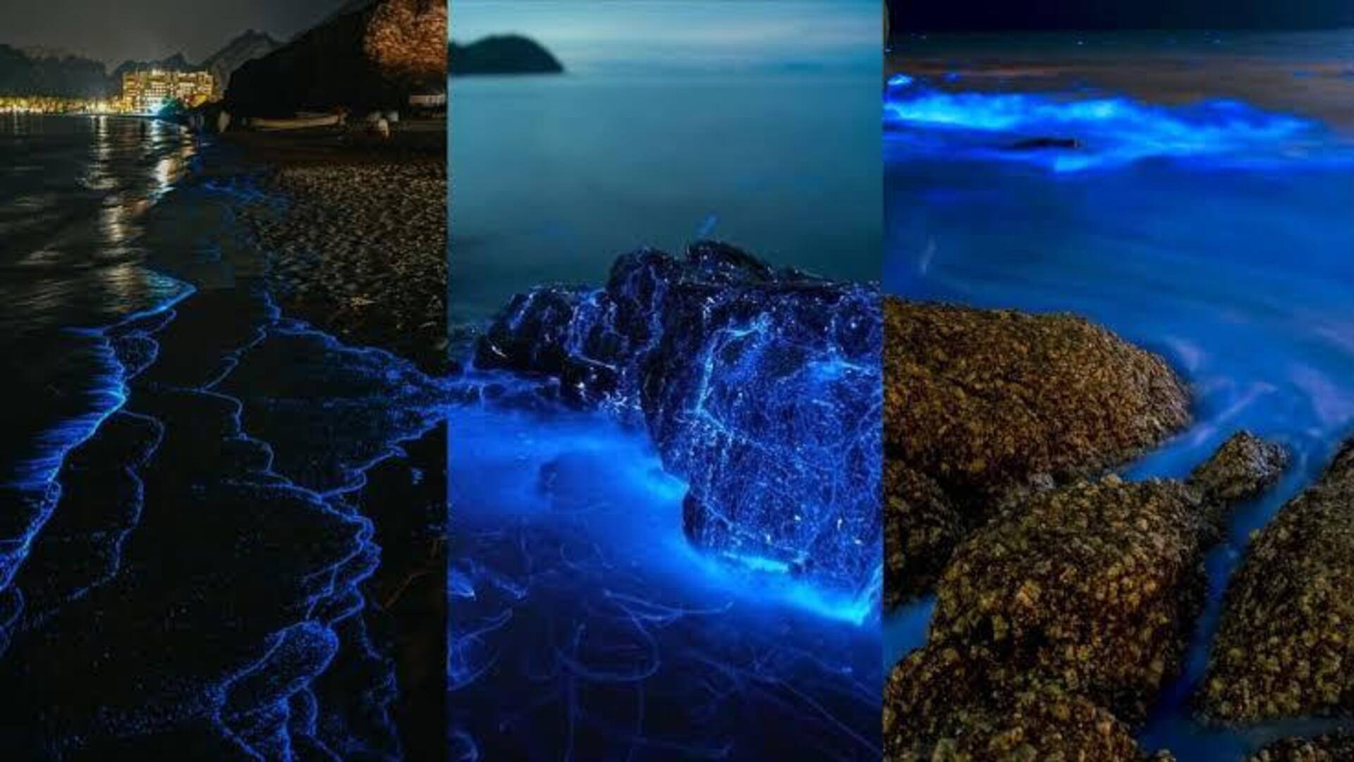 マスカットの夜市と光る海岸散歩を楽しむ方法