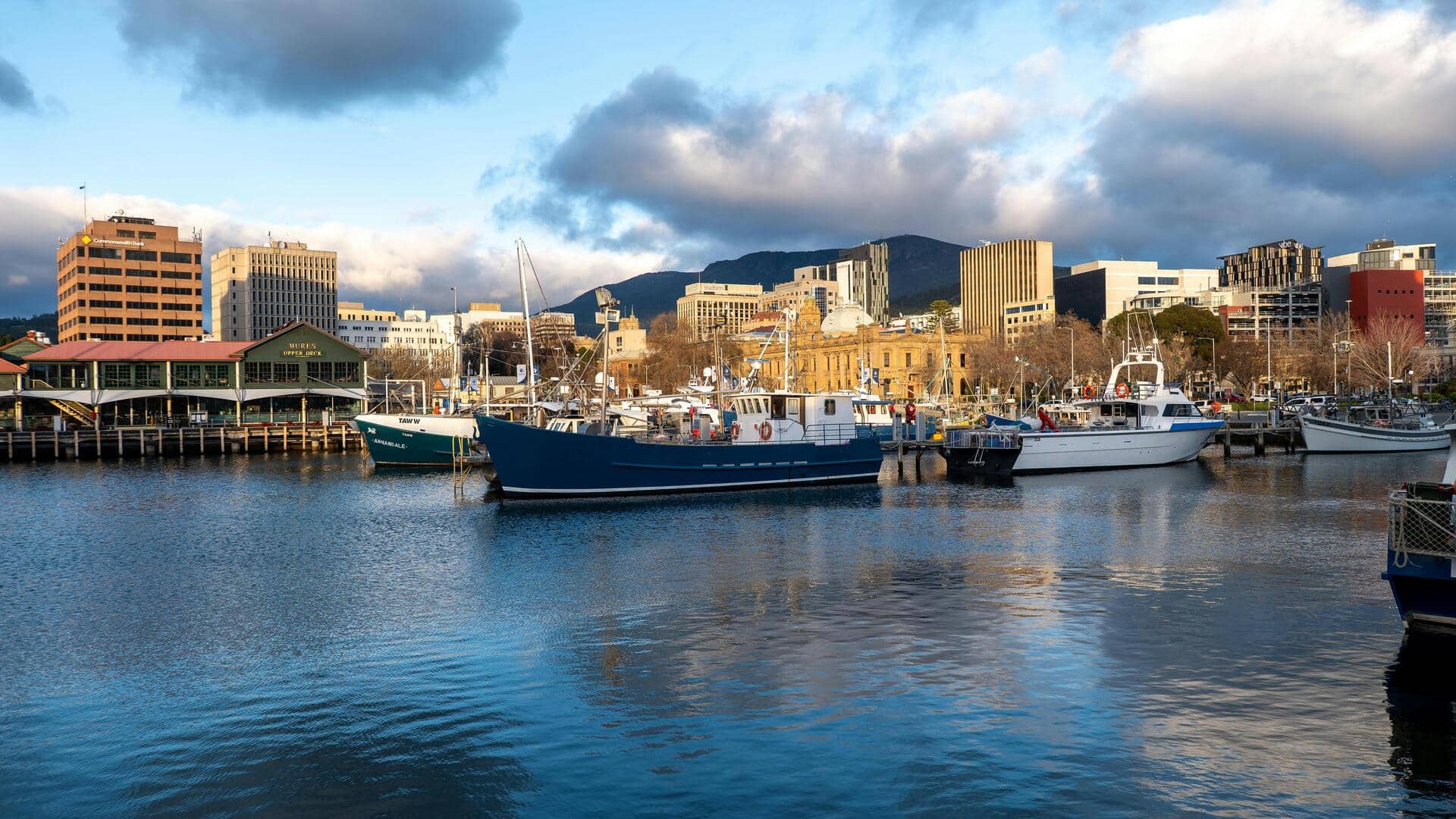 ホバートのウォーターフロントボードウォーク：都市散策の絶景