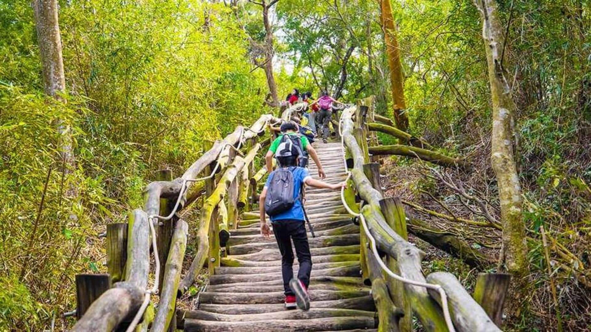 台湾の大坑を発見：冒険的なハイキングの旅