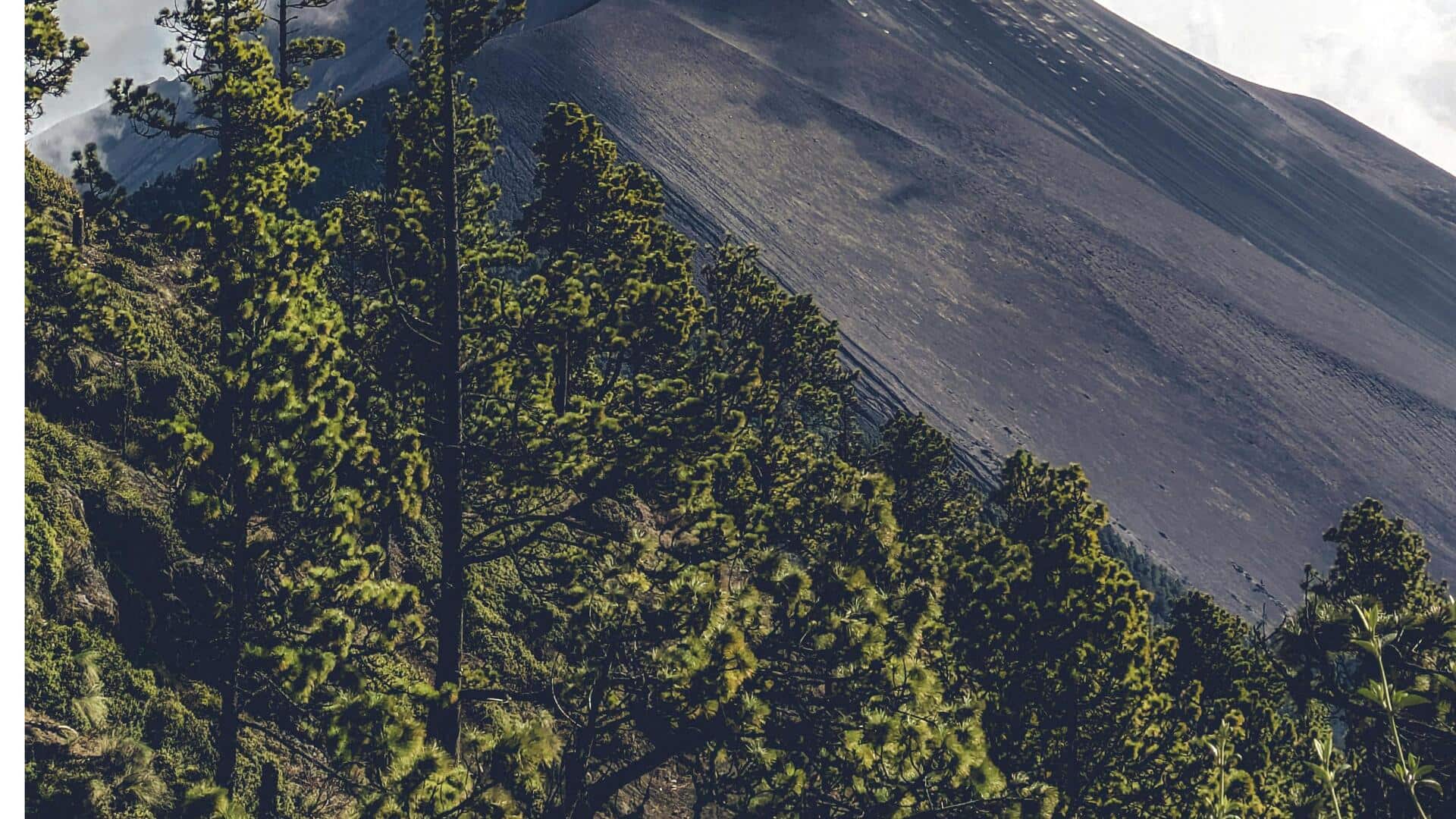 コスタリカの雲霧林を探検しよう：スイス風の魅力