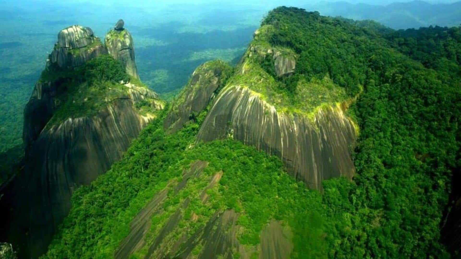スリナムの山々で心を癒す旅