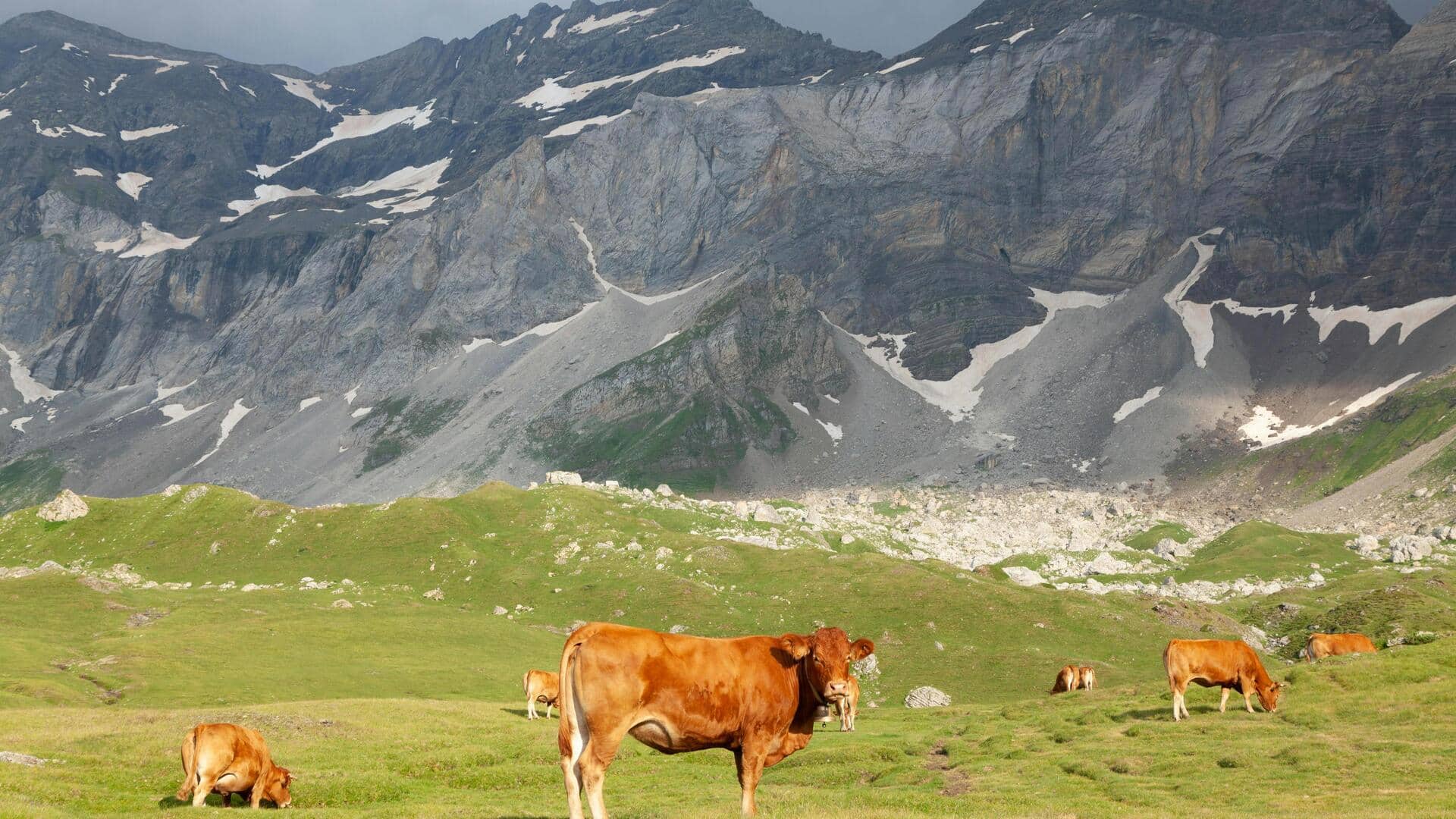 フランスのピレネー山脈で未発見の牧歌的な隠れ家を探る
