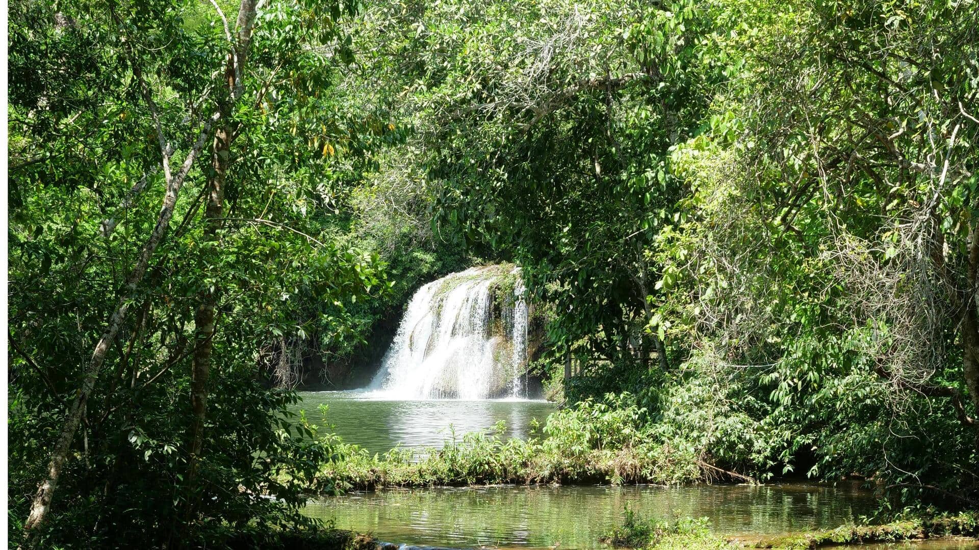 ホンジュラスのピコ・ボニート国立公園を探検しよう