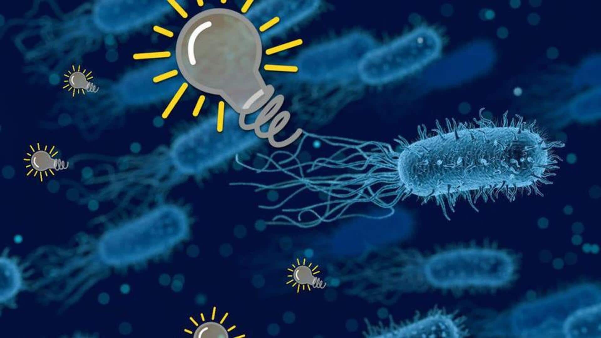 電子機器を守る: バクテリアの意外な役割