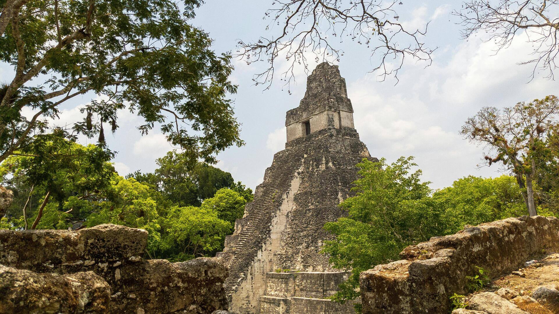 グアテマラのティカル：古代マヤ文明の神秘を探る