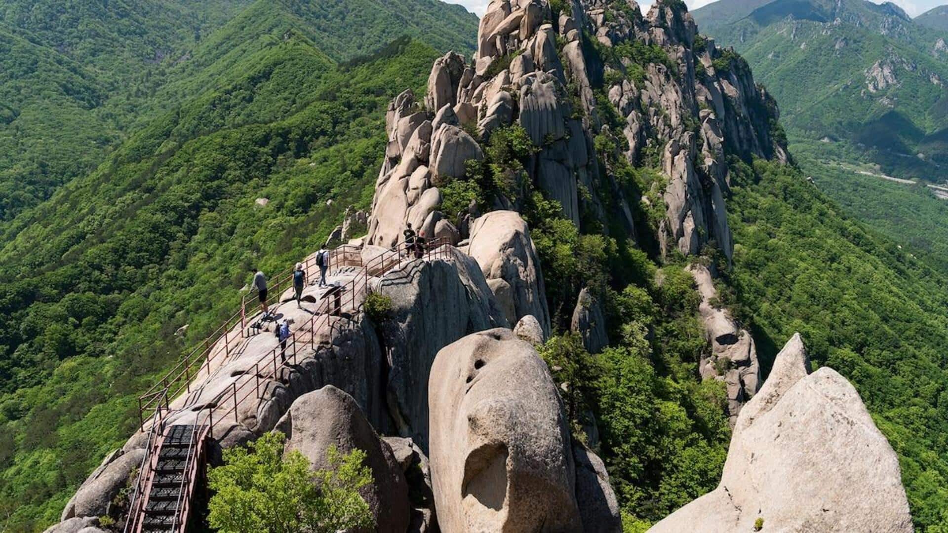 韓国の雪岳山を探検しよう：時を超えた山の冒険