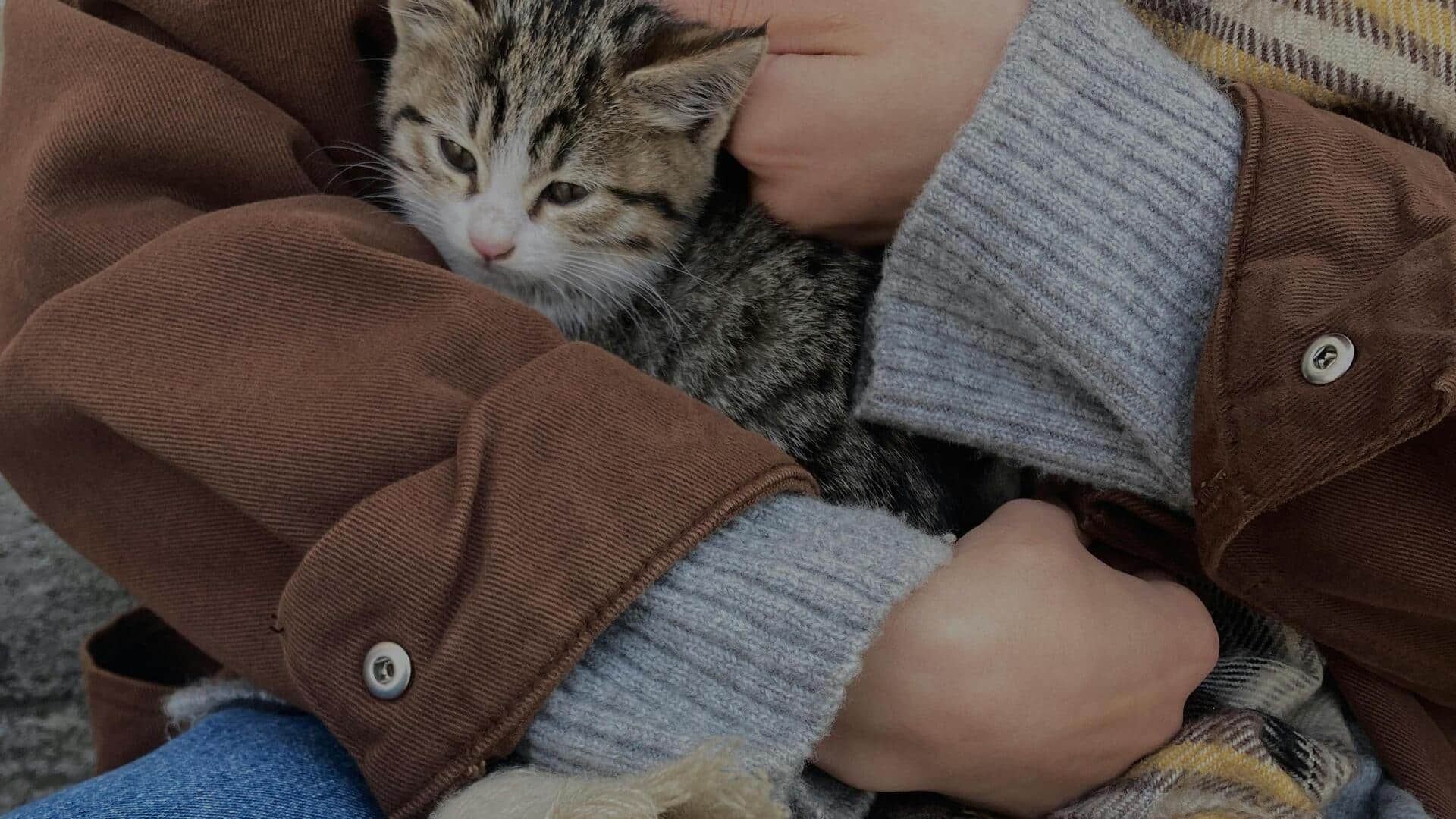 冬のストリートスタイルにおけるグラファイトグレーの5つのレイヤリング方法