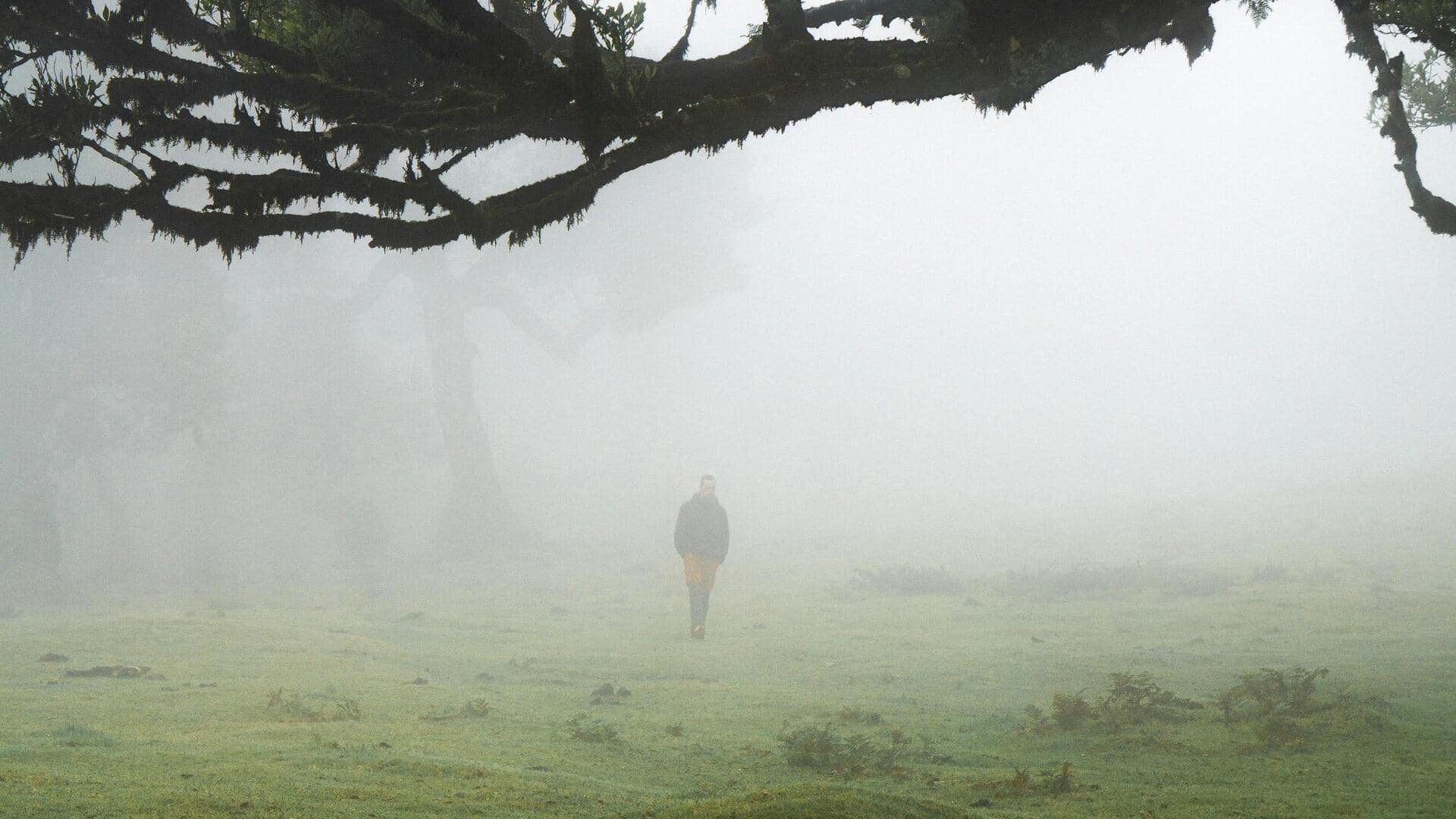 マデイラのロリスィルヴァ山林で静かな自然の美を探る