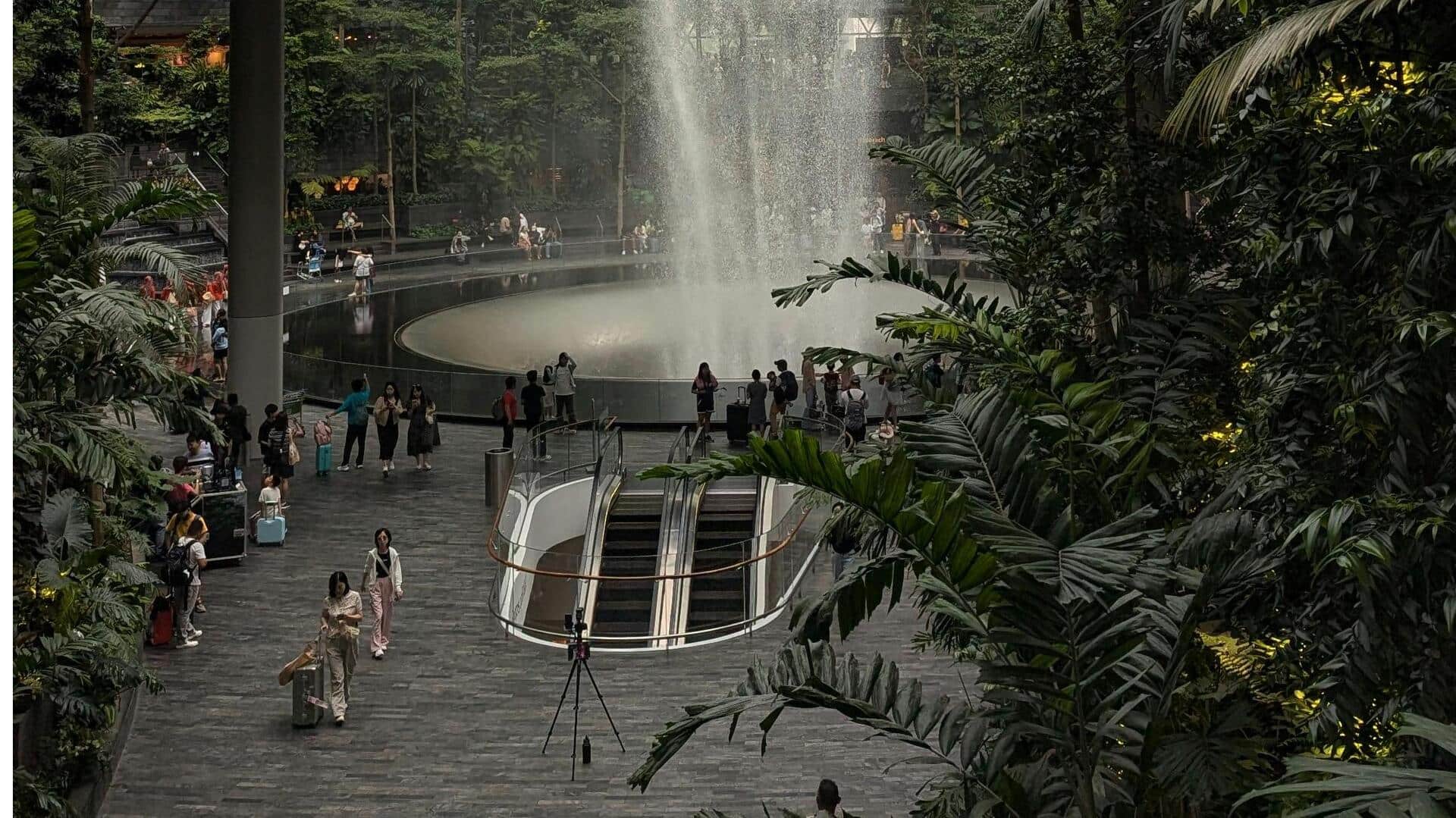 シンガポールの必見都市自然ボードウォーク5選