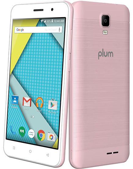 Plum Compass 2
