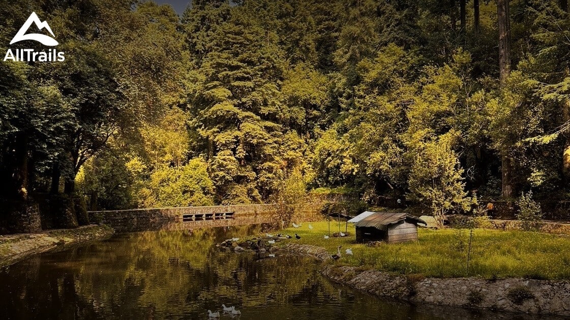 Explore O Parque Nacional Desierto De Los Leones, México