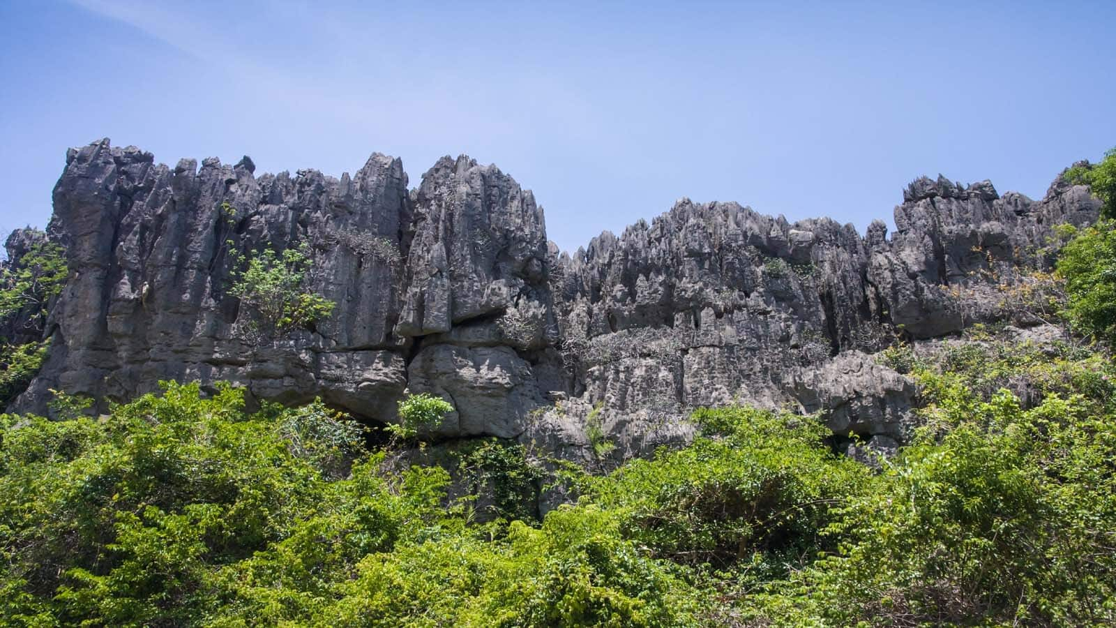 Descubra A Reserva De Ankarana Em Madagascar