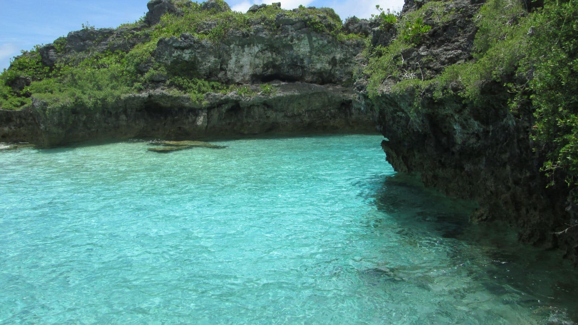 Descubra A Beleza Única Da Ilha Niue