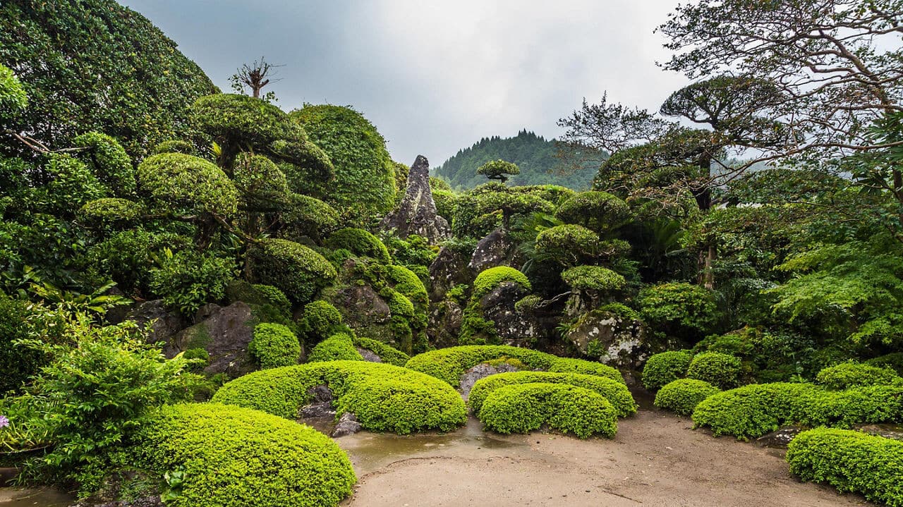 Descubra Kyoto: A Joia Cultural Do Japão