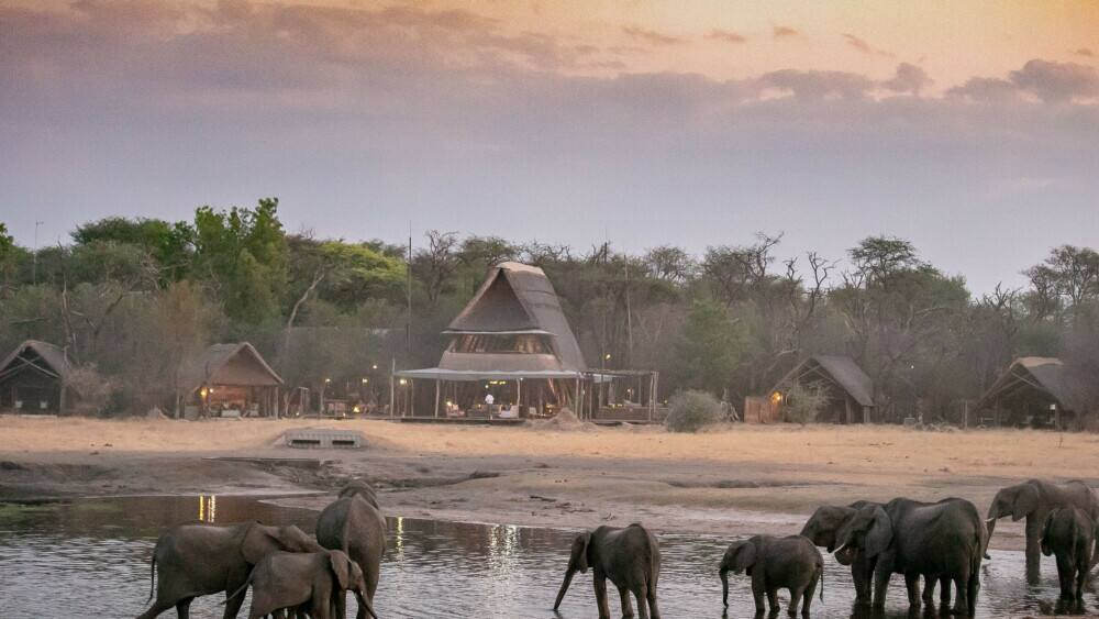 Descubra A Beleza Do Parque Nacional De Hwange, Zimbábue