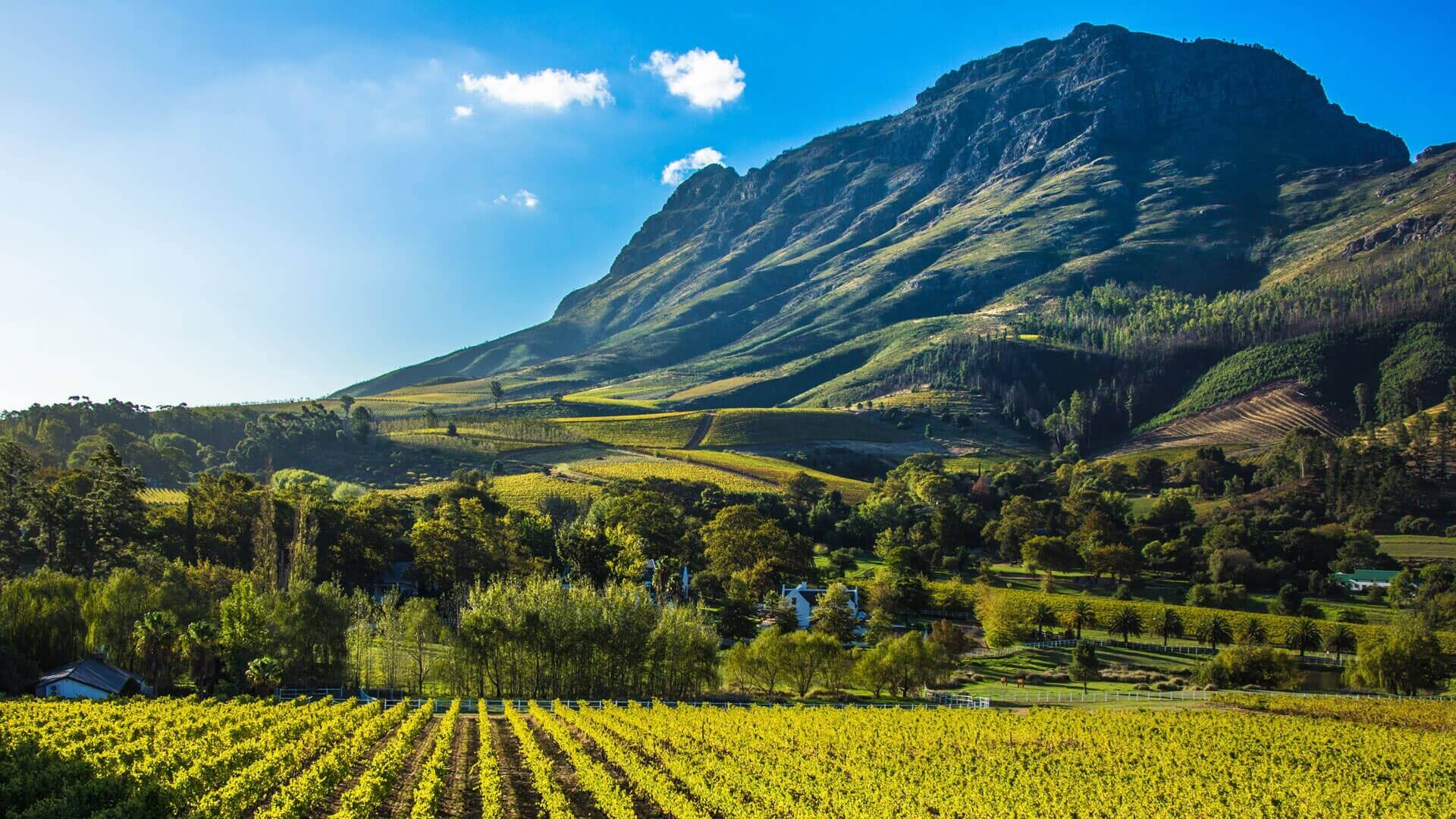 Descubra As Belezas De Cape Winelands, África Do Sul