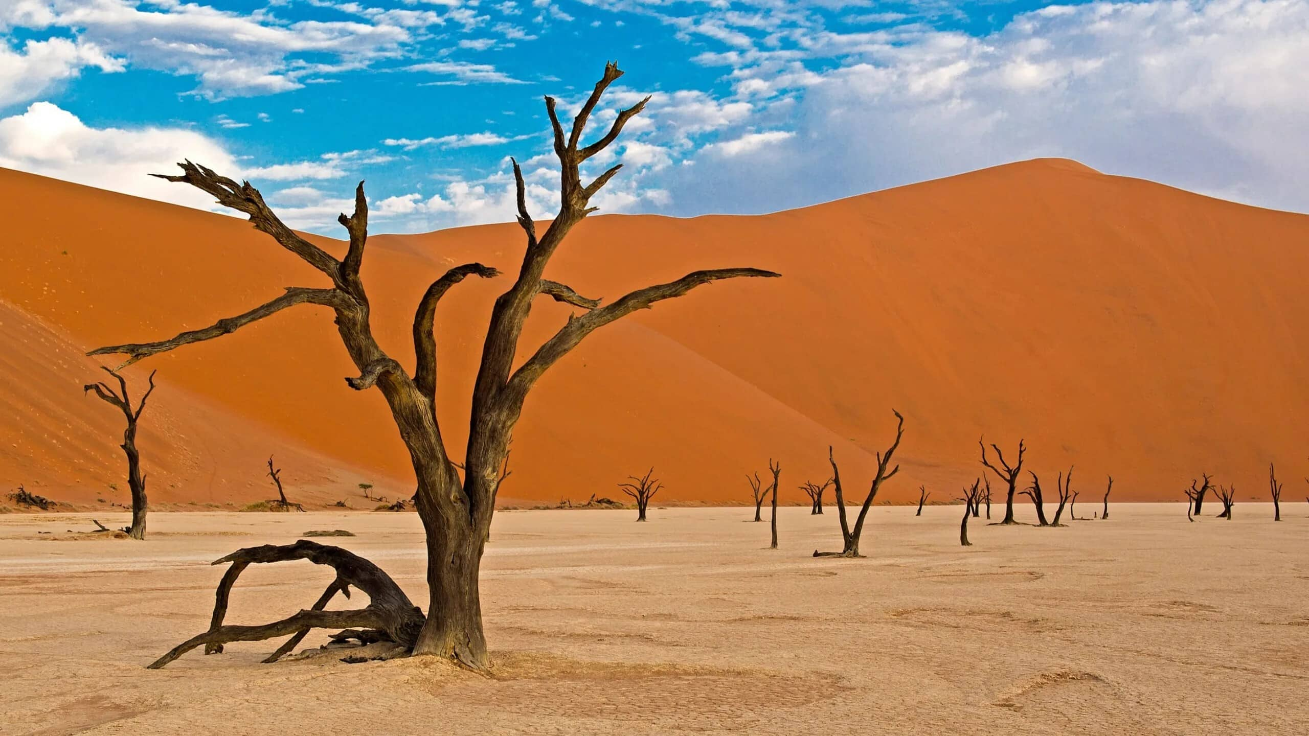 Descubra A Imensidão Do Parque Nacional Namib-Naukluft, Namíbia