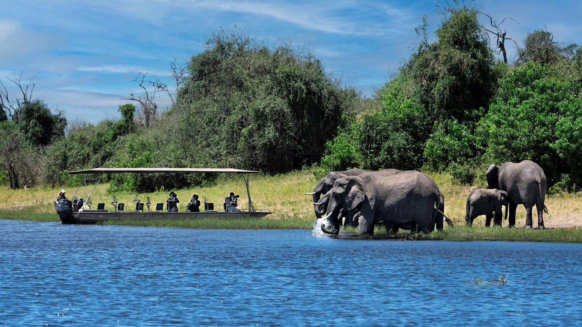 Descubra A Beleza Do Parque Nacional De Chobe, Botswana