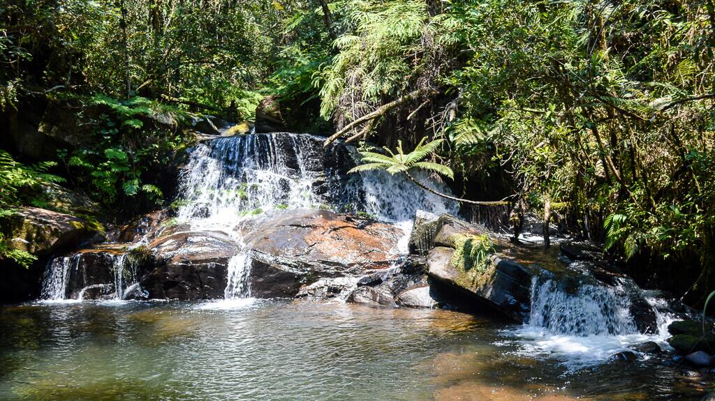 Descubra As Maravilhas Do Parque Nacional Andasibe-Mantadia, Madagascar