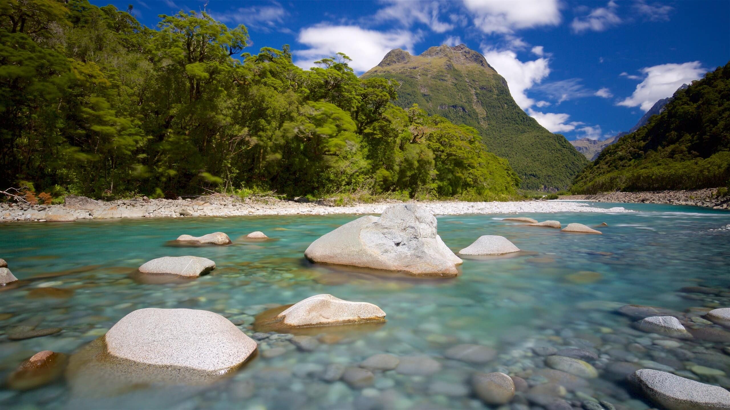 Descubra A Beleza Do Parque Nacional Fiordland, Nova Zelândia