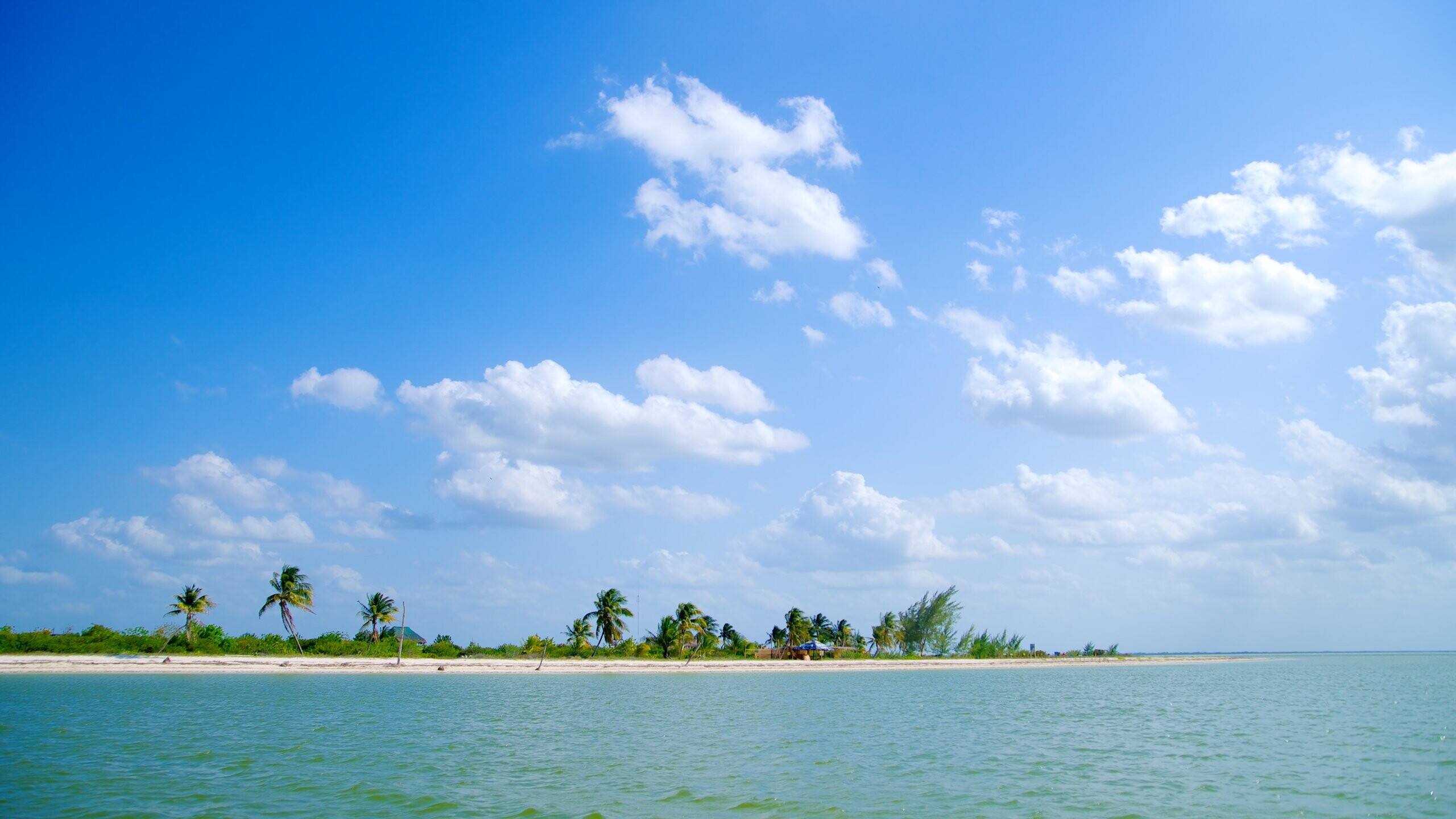 Descubra A Beleza De Isla Holbox, México