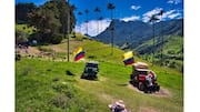 Descubra O Encanto Do Valle De Cocora, Colômbia