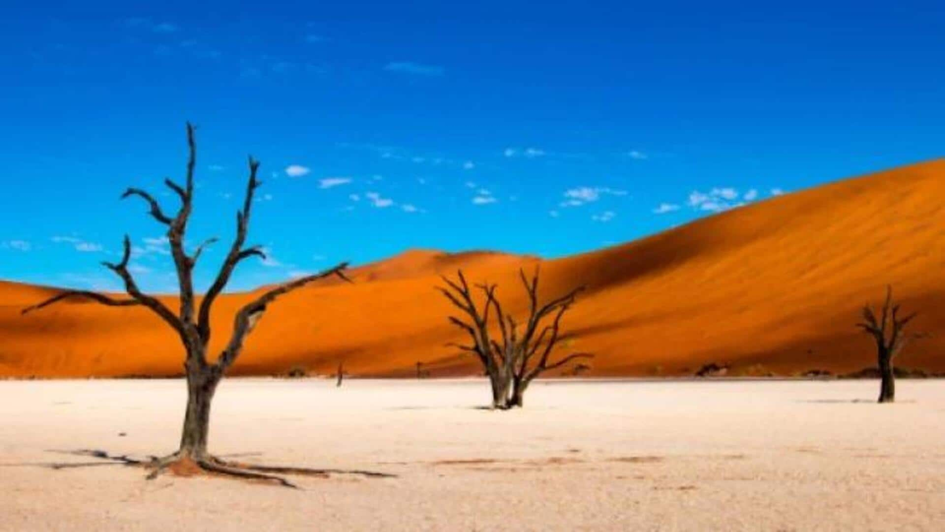 Descubra O Fascínio Do Deserto Do Namibe, Angola