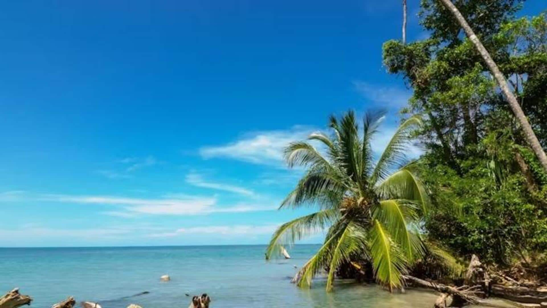 Descubra As Maravilhas Do Parque Nacional Cahuita, Costa Rica