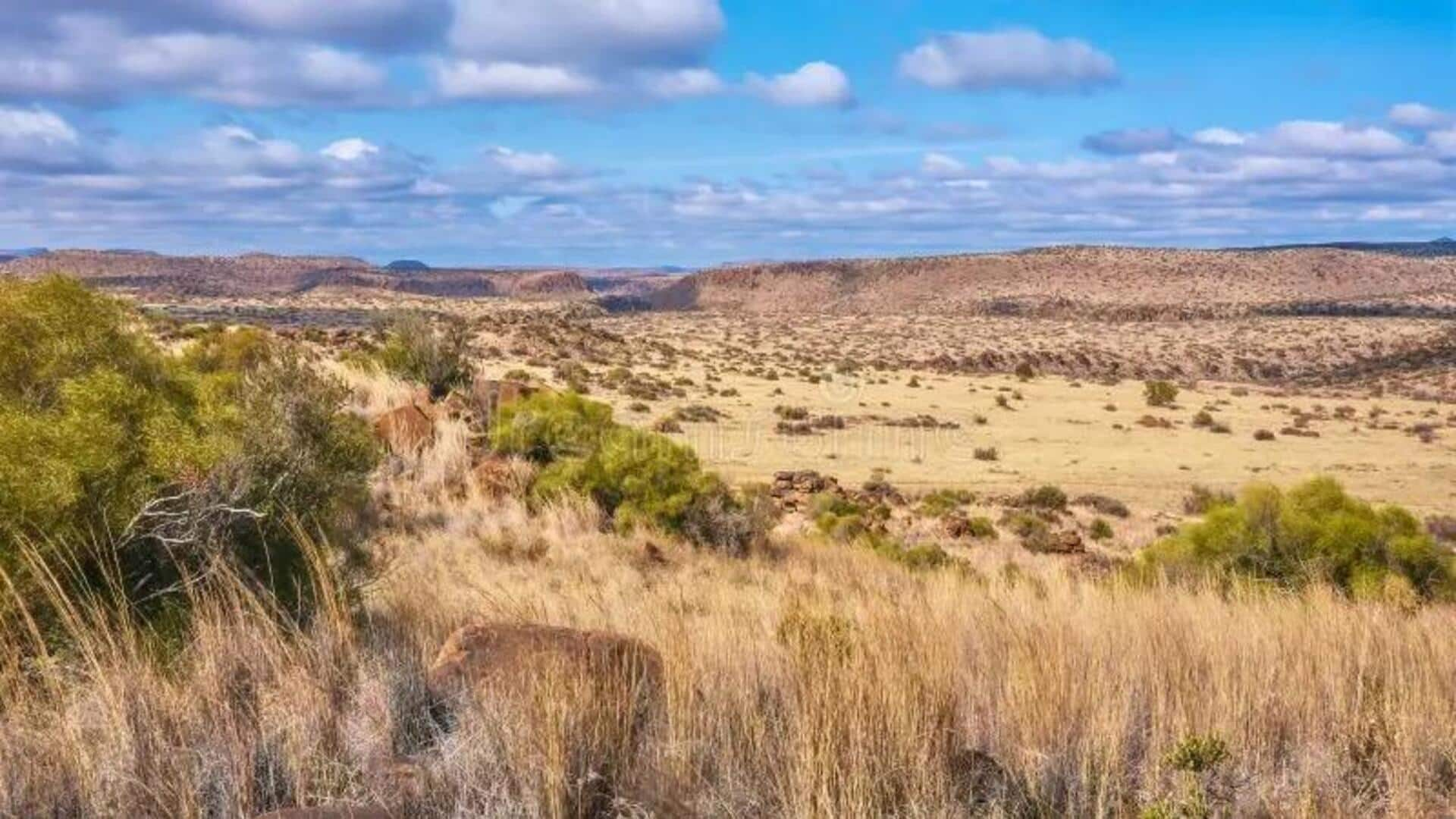 Explore Paisagem Vasta Única em Great Karoo, África do Sul