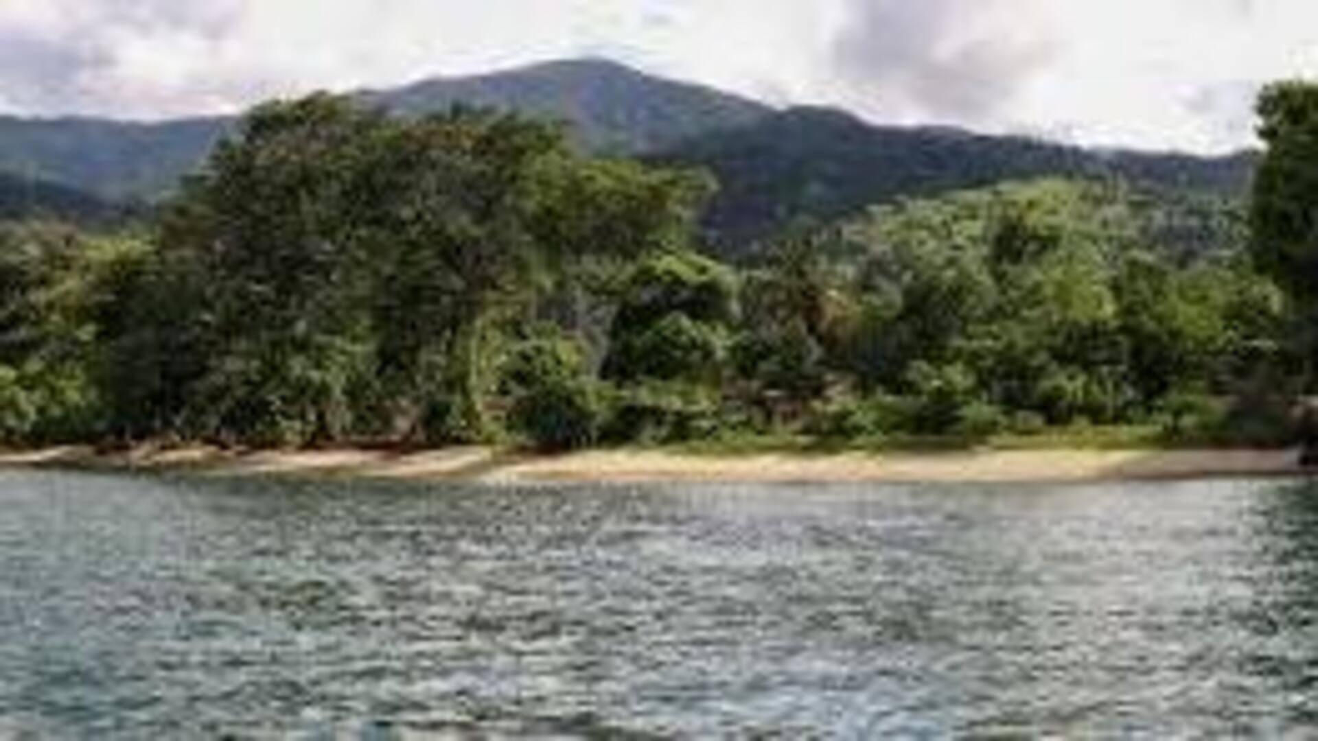 Descubra A Beleza Do Parque Nacional Masoala, Madagascar