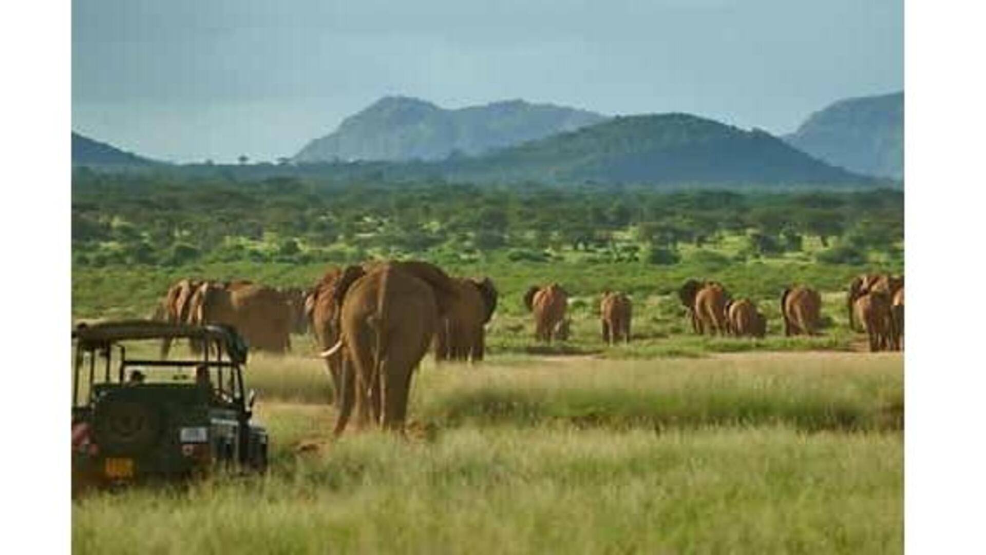 Descubra A Beleza Selvagem Da Reserva Nacional De Samburu, Quênia