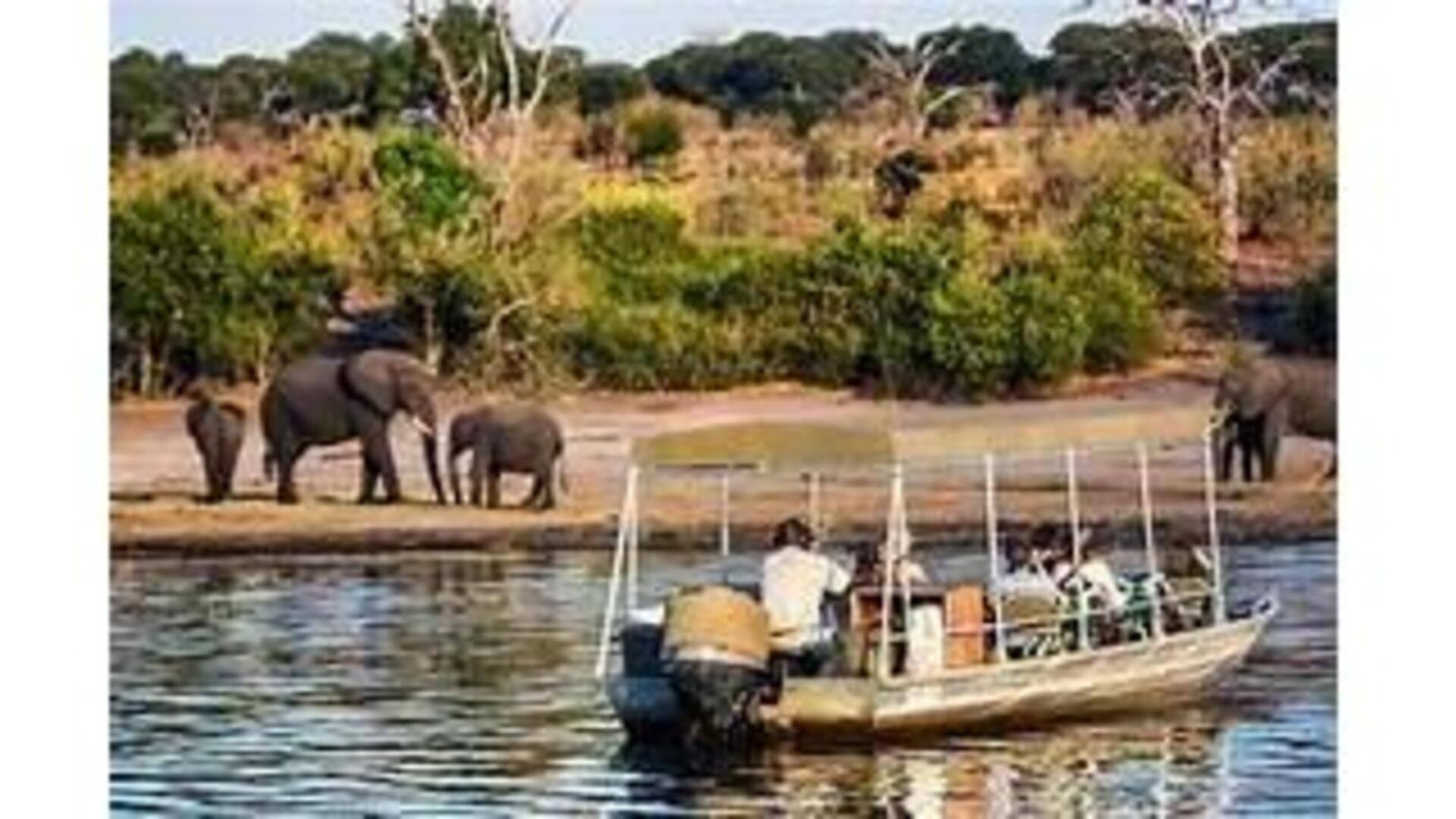 Descubra A Beleza Do Rio Chobe, Botswana