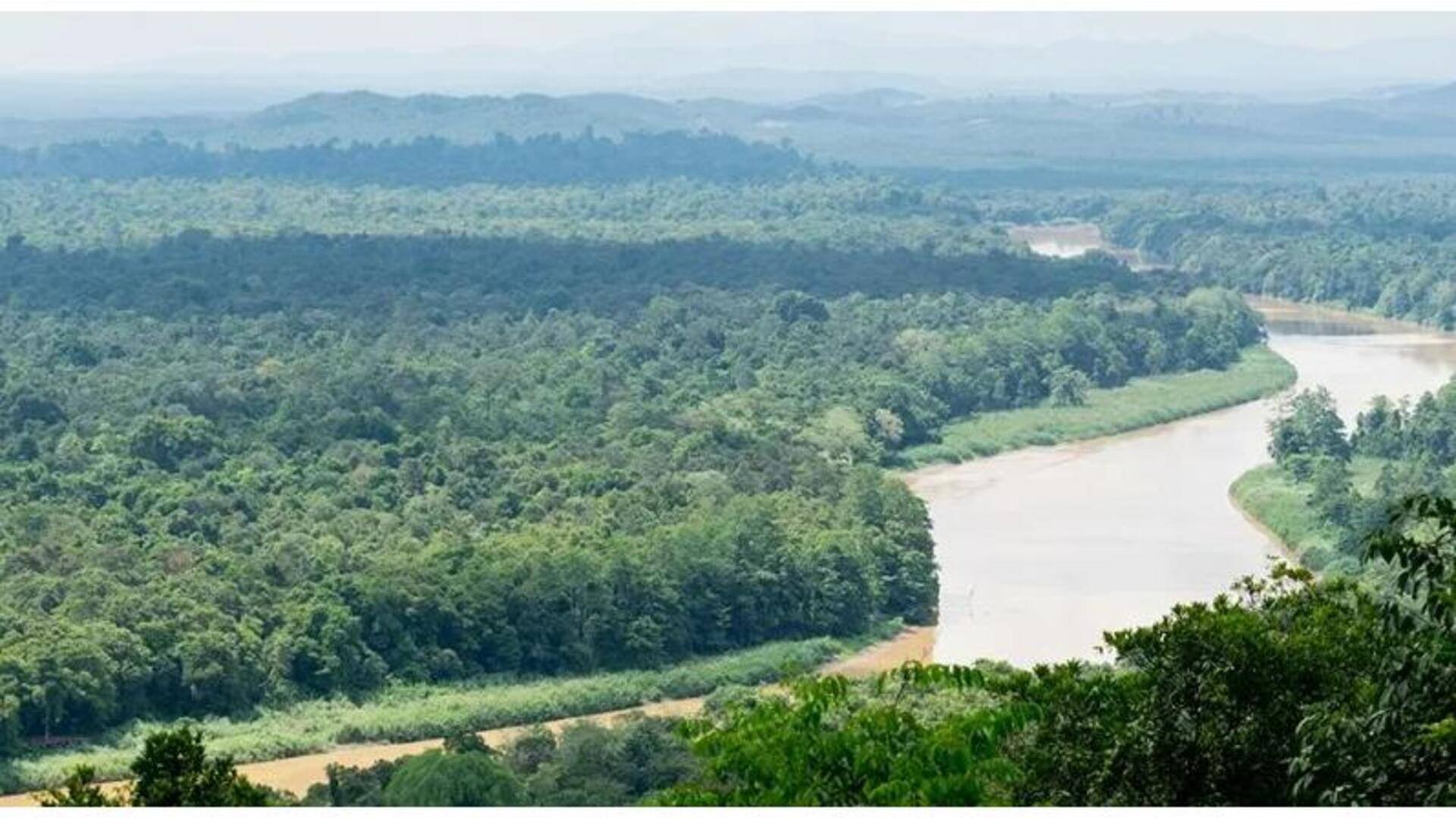 Descubra O Encanto Do Rio Kinabatangan, Malásia