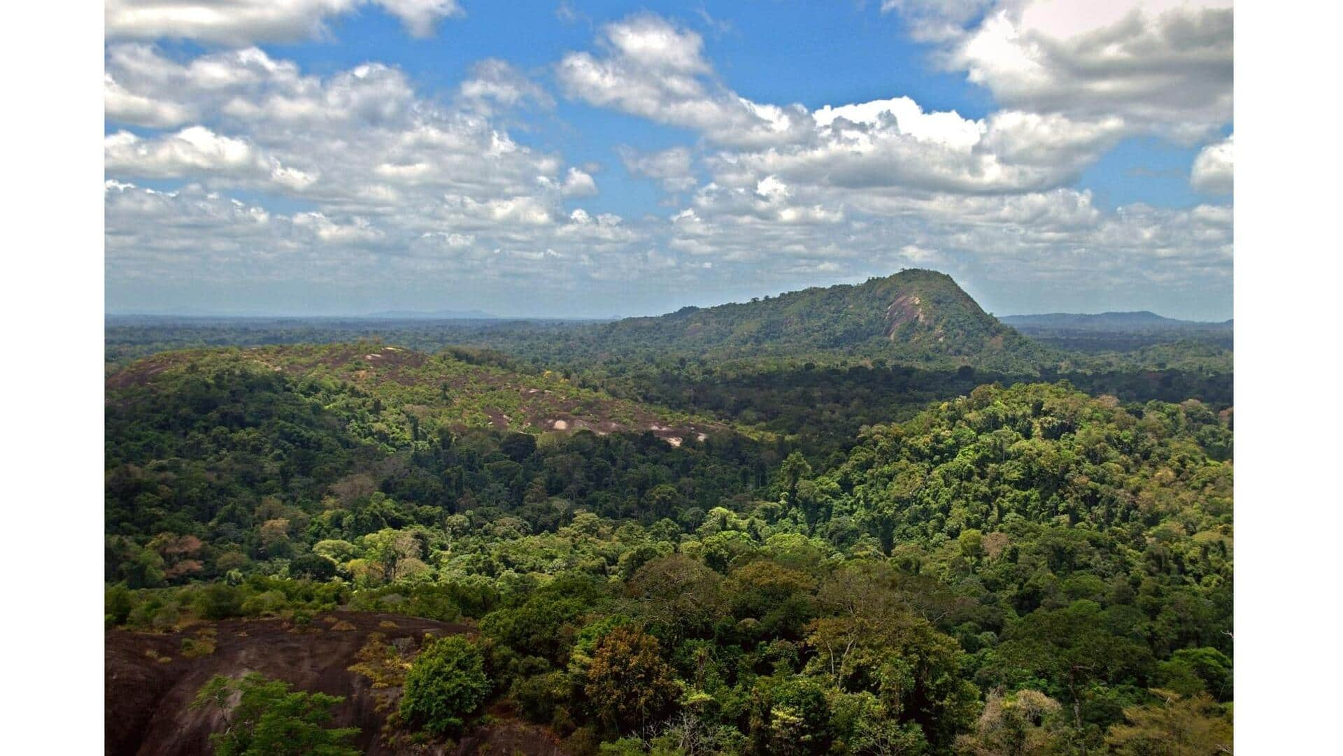 Descubra A Reserva Natural Central Do Suriname