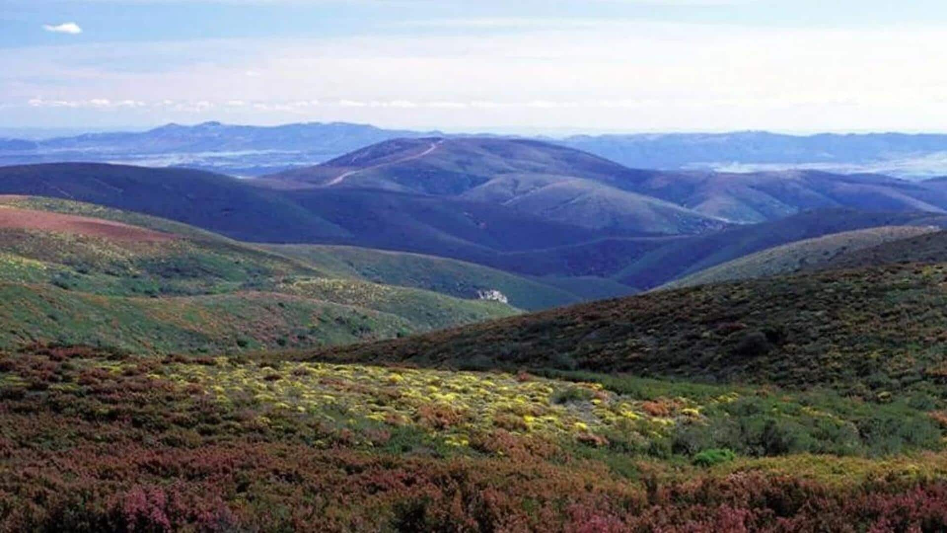 Descubra A Tranquilidade Da Serra Da Malcata, Portugal